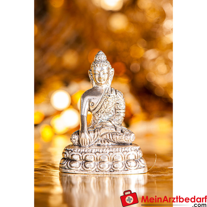 Buddha Shakyamuni Berk, placcato in argento