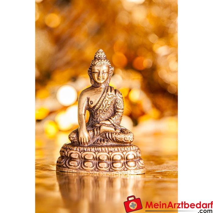 Berk Sakyamuni Buda
