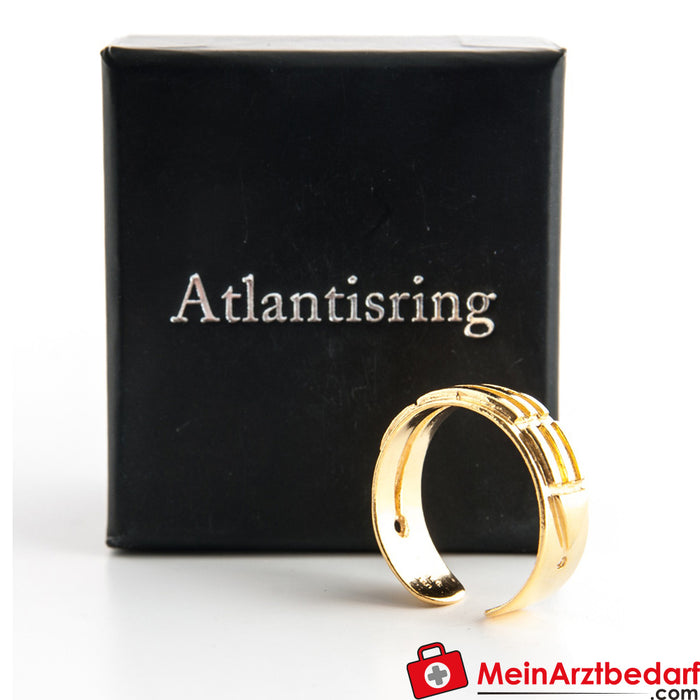 Berk Atlantis ring (men's size)