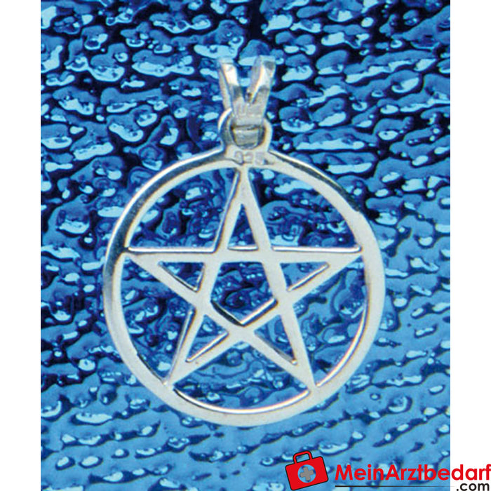 Berk pentagram hanger met uitgesneden rand