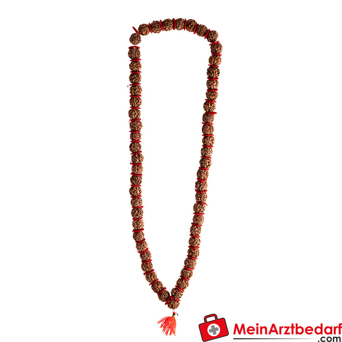 Berk Rudraksha Mala