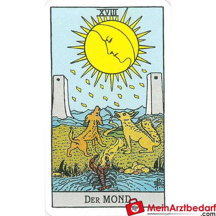 Tarot de Berk Waite - Para principiantes