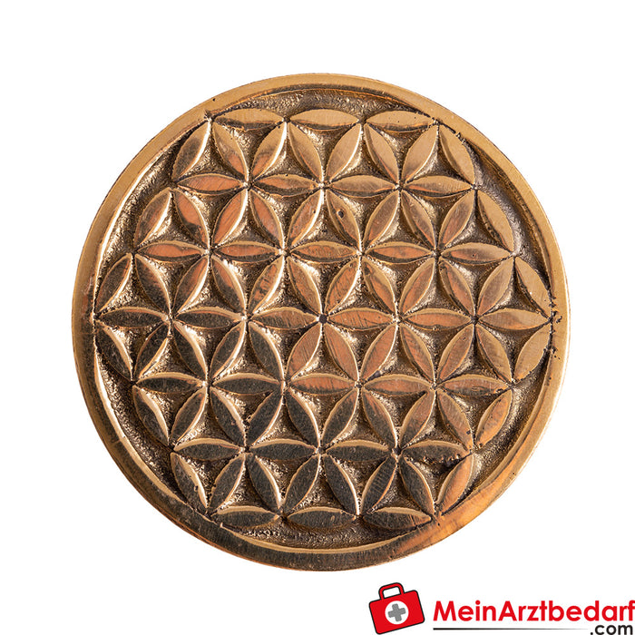 Berk coin Flower of Life