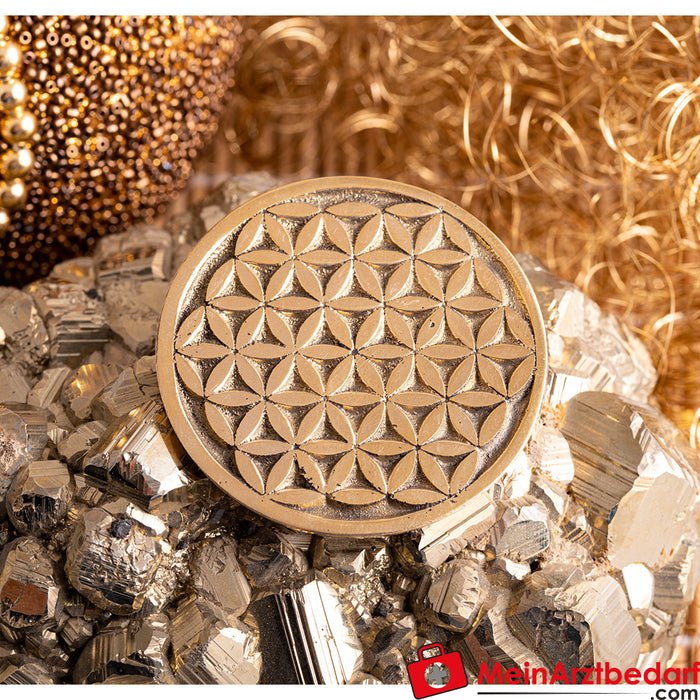 Berk coin Flower of Life