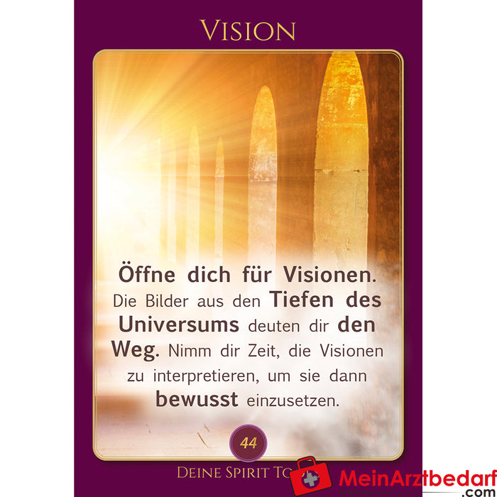 Berk Prophecies (card set)