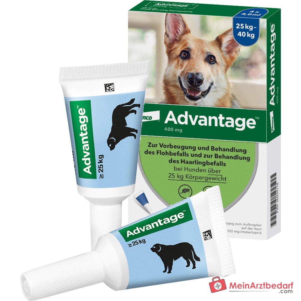 Advantage 400 Hund Imidacloprid 100 mg/ml Lösung zum Auftropfen 4 Pipetten Hunde 25–40 kg