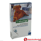 Advantage 400 Hund Pipette 1X4 St.