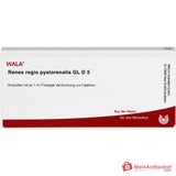 WALA Renes, regio pyelorenalis Gl D5 Ampullen, 10 Stück