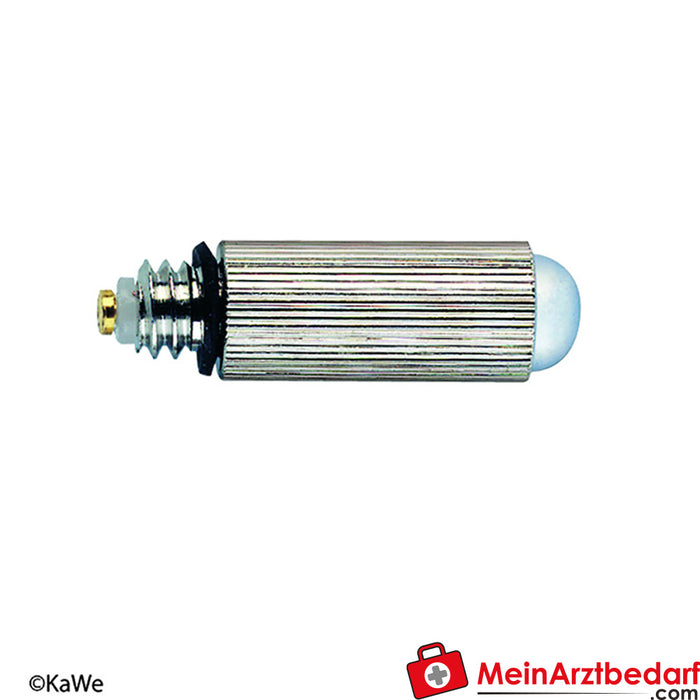 Lampada a vuoto KaWe 2,5 V per spatola WL #00 -1, 6 pz.