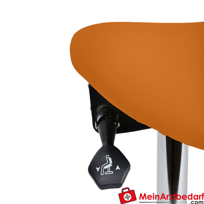 Teqler swivel stool with tiltable saddle seat