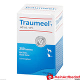 Traumeel t ad us vet 250 St.