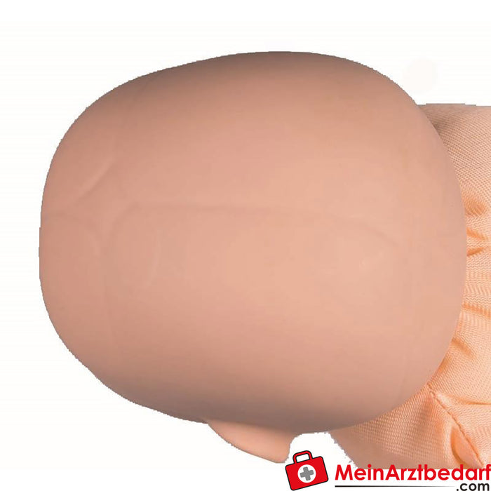 Erler Zimmer Bacino femminile con manichino fetale, cordone ombelicale e placenta