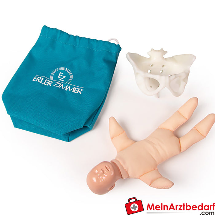 Erler Zimmer Mini pelvis with birth doll