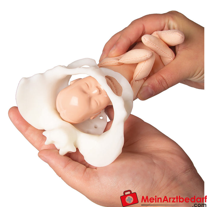 Erler Zimmer Mini miednica z lalką porodową