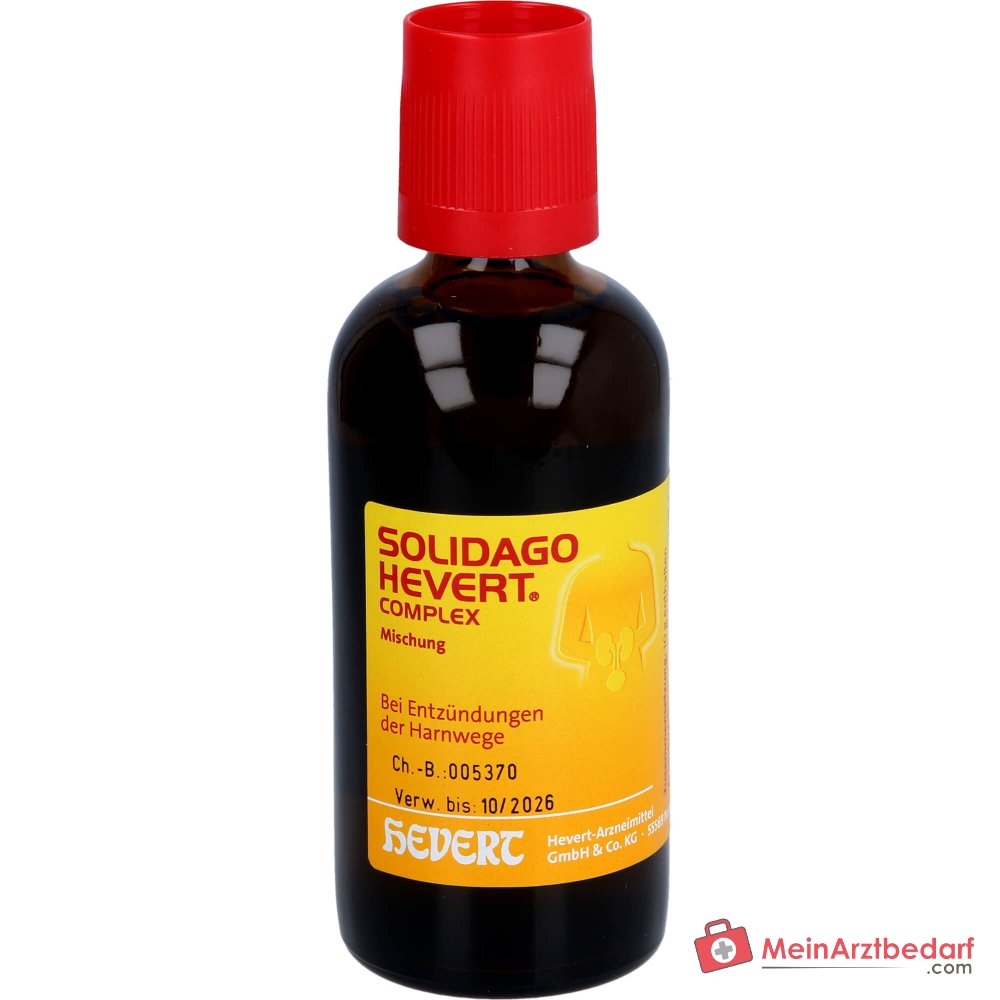 Hevert Solidago Complex Tropfen, 100 ml