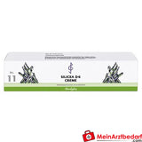 Bombastus Biochemie 11 Silicea D6 Creme.