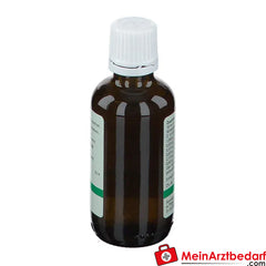 Pflügerplex® Anacardium 185.