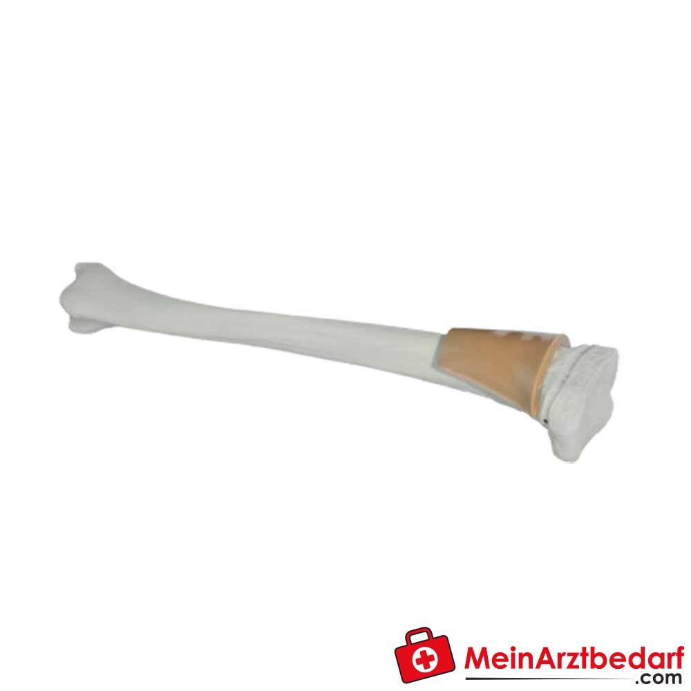 Teleflex Training Bones - Children's Tibia
