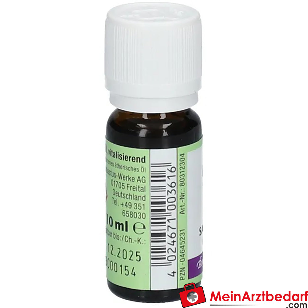 Bombastus Salbeiöl, 10ml.