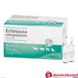 Echinacea comp ad us vet 50 St.