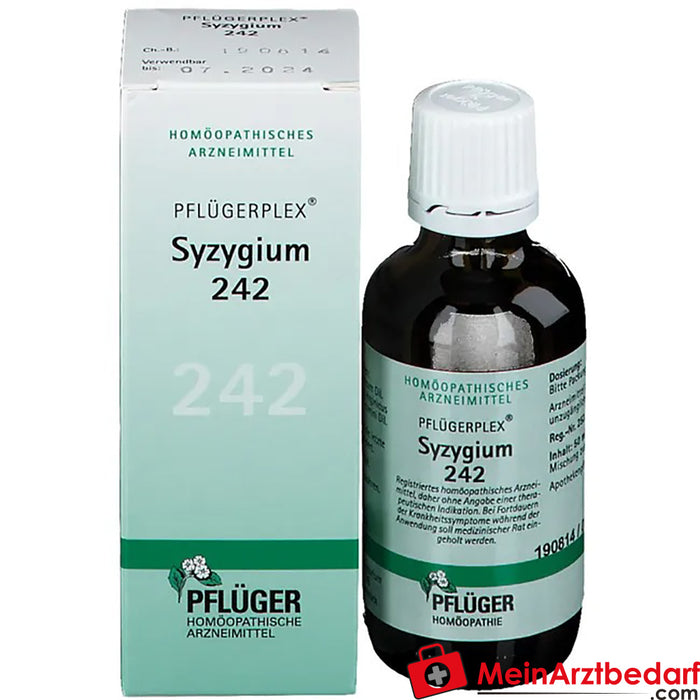 Pflügerplex® Syzygium 242