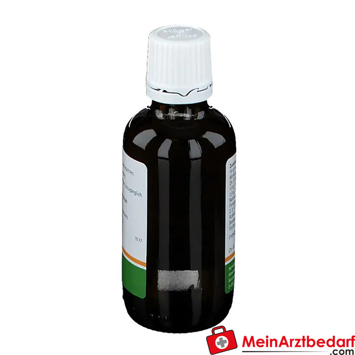 Pflügerplex® Natriumcarbonicum 177