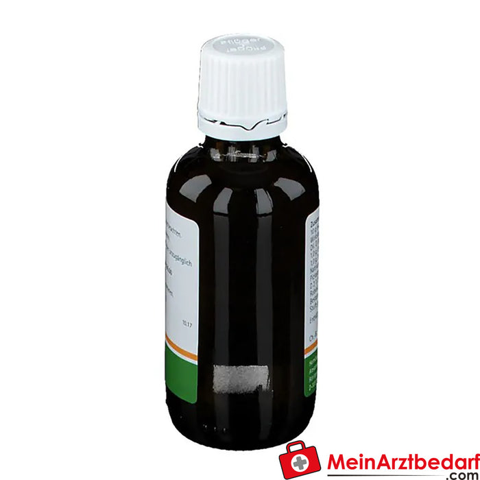 Pflügerplex® Natrium carbonicum 177