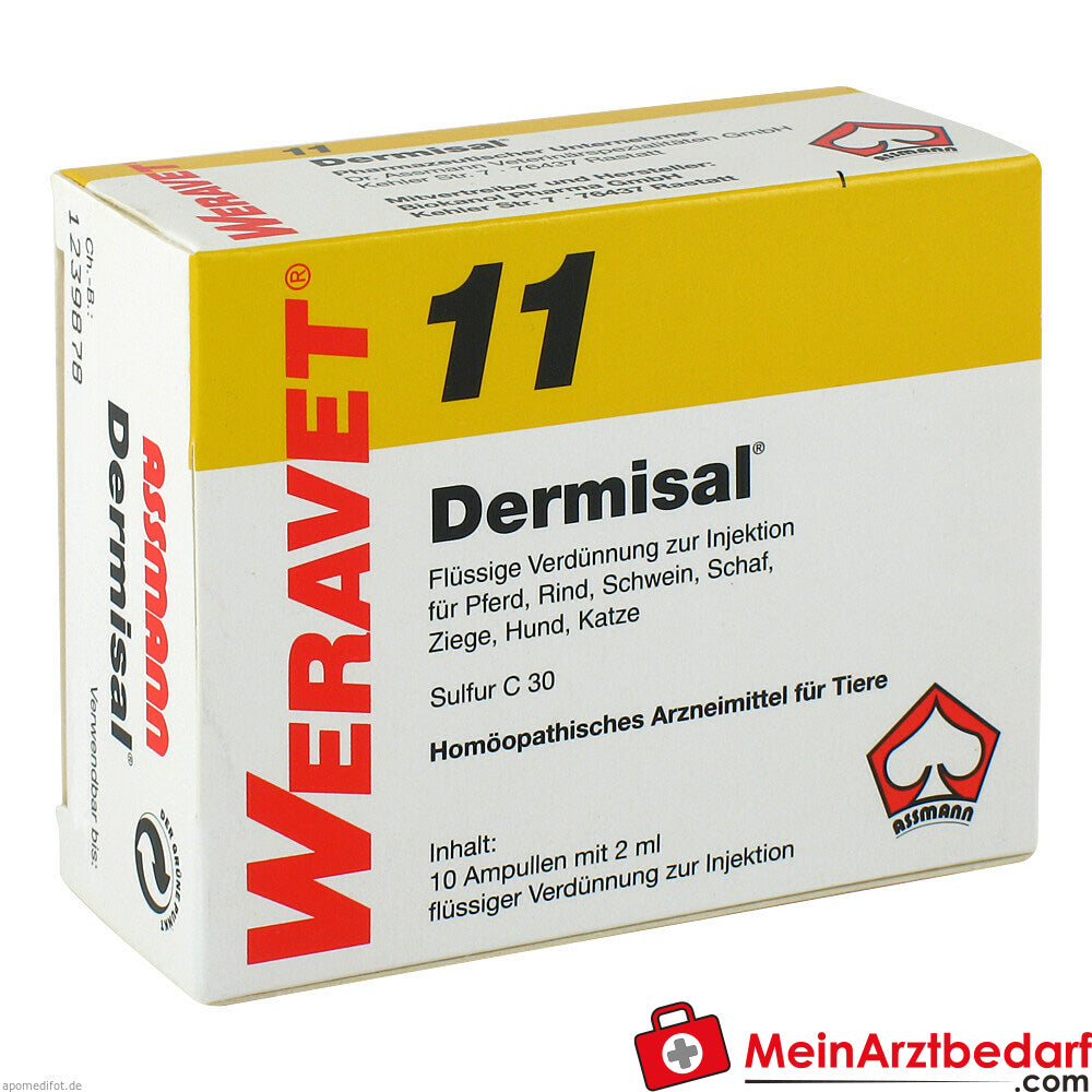 Dermisal 11 vet 10 x 2 ml