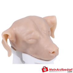 Erler-Zimmer Otoskopiesimulator Hund.