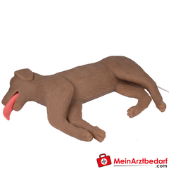 Erler-Zimmer HLW Übungshund Cooper.