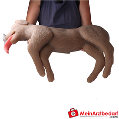 Erler-Zimmer HLW Übungshund Cooper.