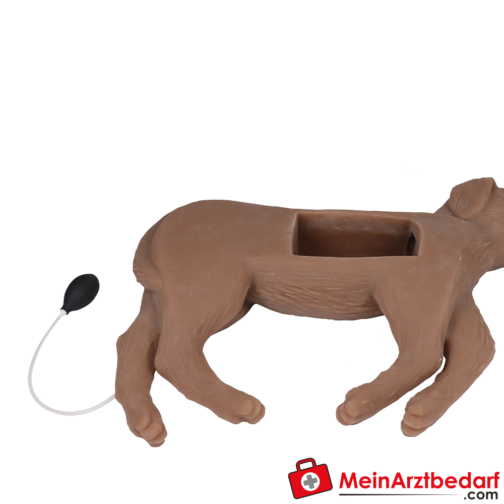 Erler-Zimmer HLW Übungshund Cooper.