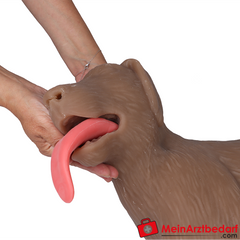 Erler-Zimmer HLW Übungshund Cooper.