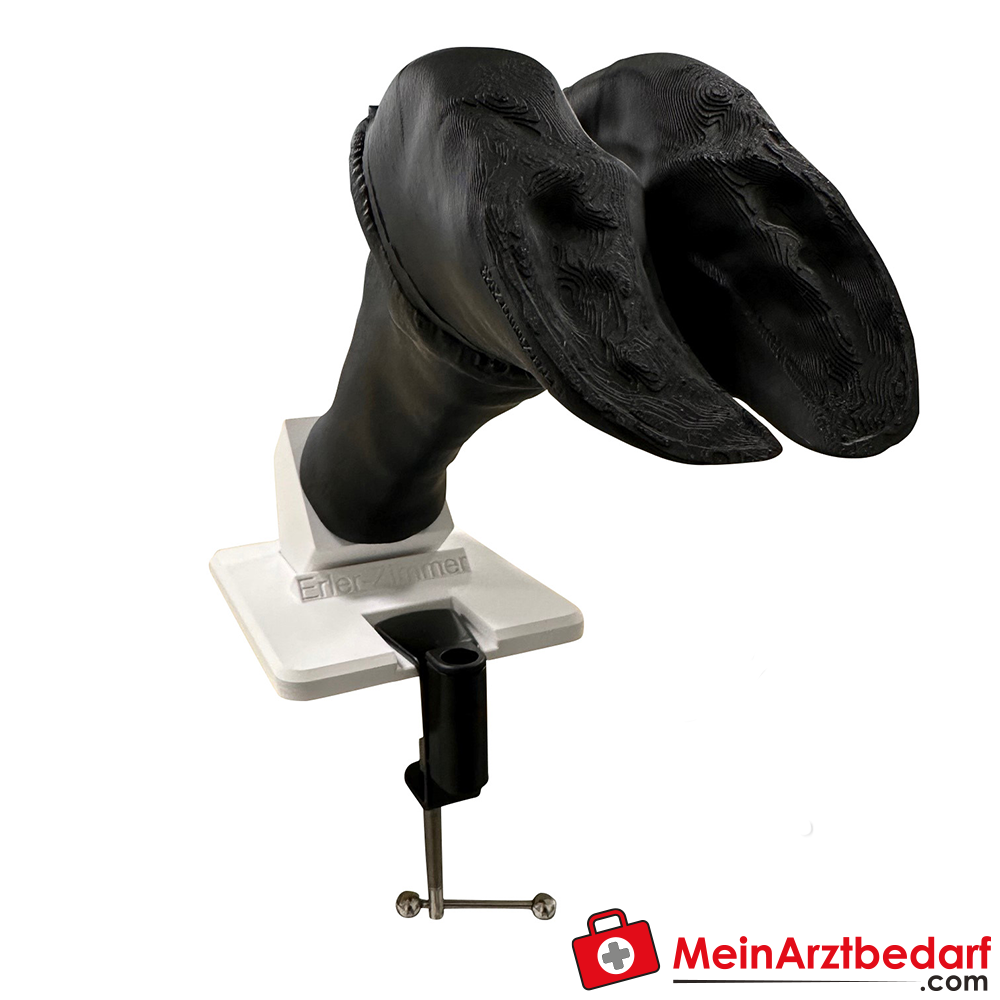 Erler-Zimmer Verbandssimulator Rinderklaue.