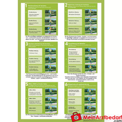 smoveyGOLD EDITION Solid.