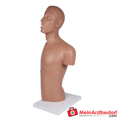 Erler-Zimmer NG Tracheostomie Torso, lebensgroß.