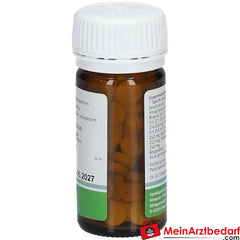 Pflügerplex® Bryonia 311 HM.