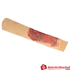 TEE-UU RAPID Trauma-Simulation.