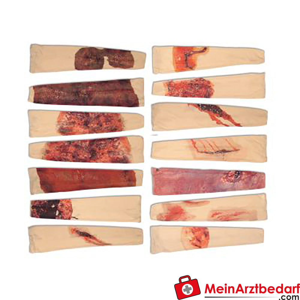 TEE-UU RAPID Trauma-Simulation.