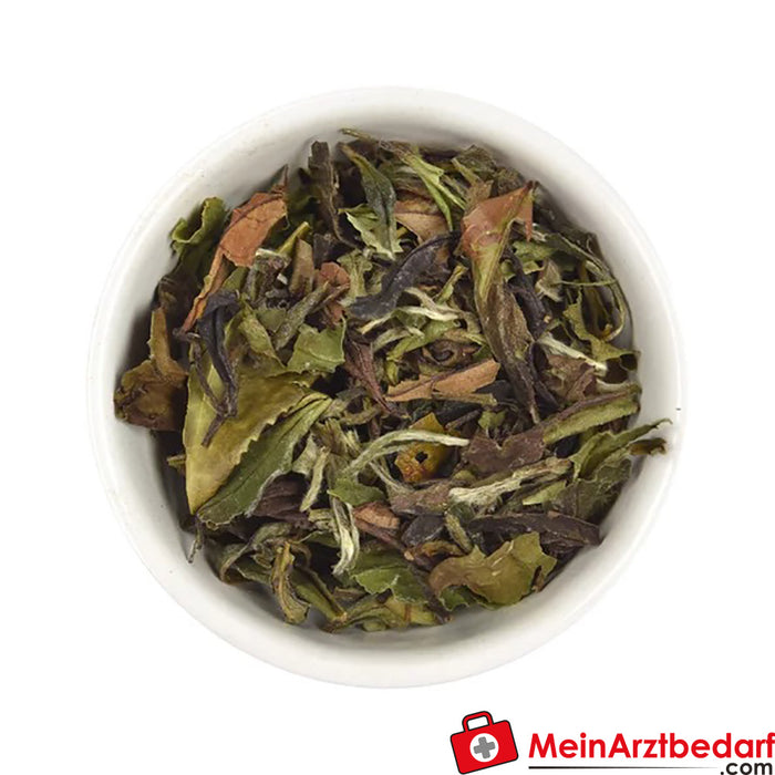 Sonnentor Organic The Noble Pai Mu Tan White Tea