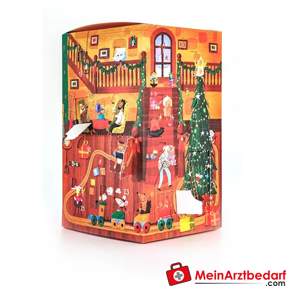 Sonnentor Bio Gewürz Adventkalender.