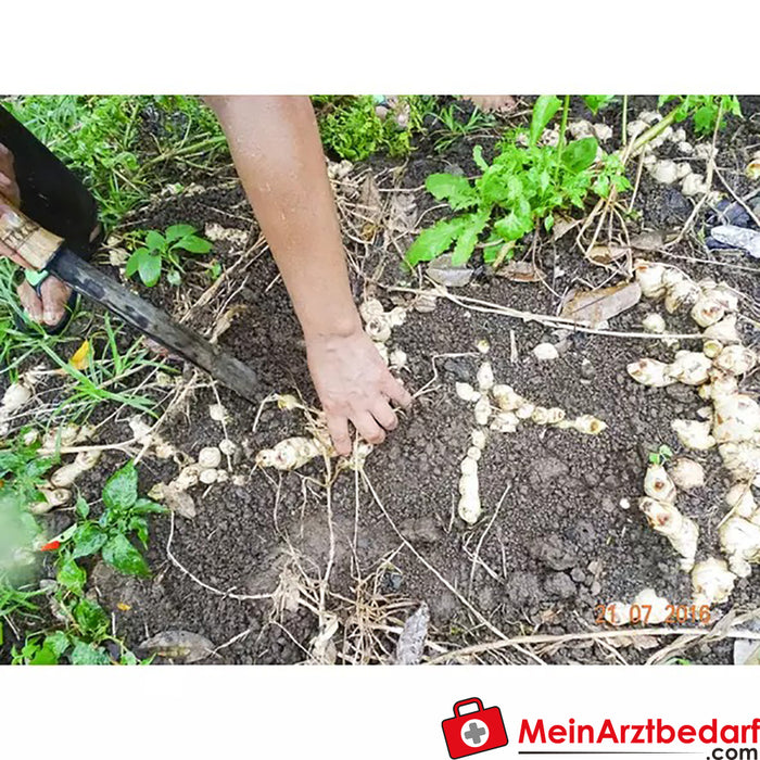 Sonnentor organic galangal ground