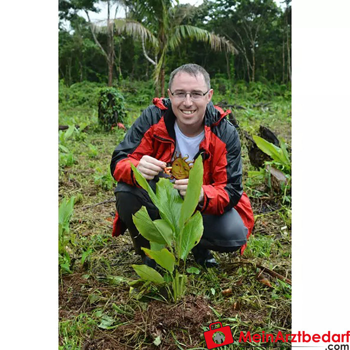 Curcuma biologica Sonnentor macinata