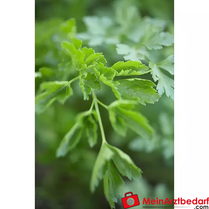 Sonnentor Organic Chopped Parsley