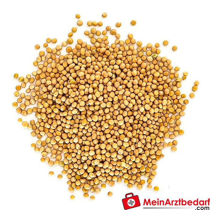 Sonnentor Organic Mustard Seeds