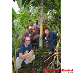 Sonnentor Bio Zimt Ceylon gemahlen.