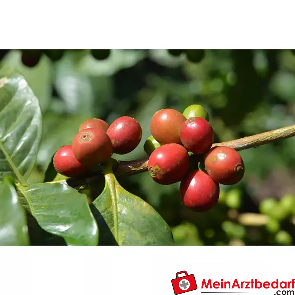 Sonnentor Bio Grüner Kaffee.