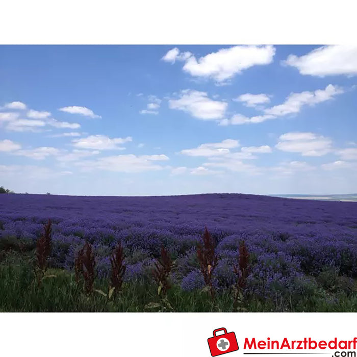 Sonnentor Biologische lavendelbloemen los