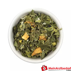 Sonnentor Bio Abend Tee.