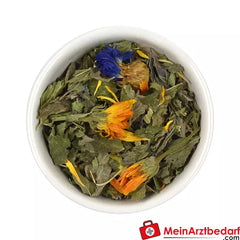 Sonnentor Bio GlücksTee.